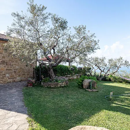 Villa Panoramica Casa In Pietra Nel Cilento *